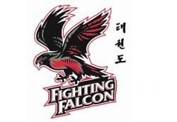 International Tournament Fighting Falcon, Bulgaria 2015